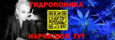 гидра Татарск