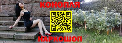гидра Татарск