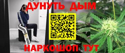 гидра Татарск